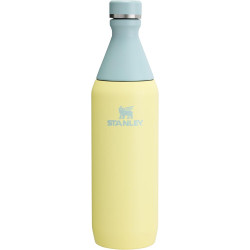 Stanley Botella Slim All Day 20oz