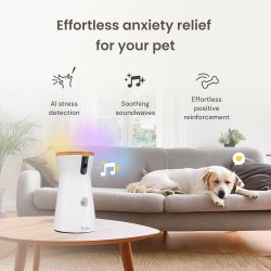 Furbo Cámara 360 para perros